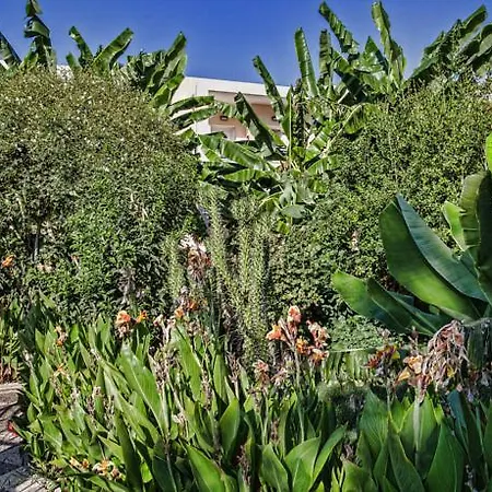 Bali Paradise 4* Bali (Crete)