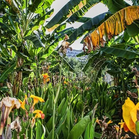 Bali Paradise Ξενοδοχείο