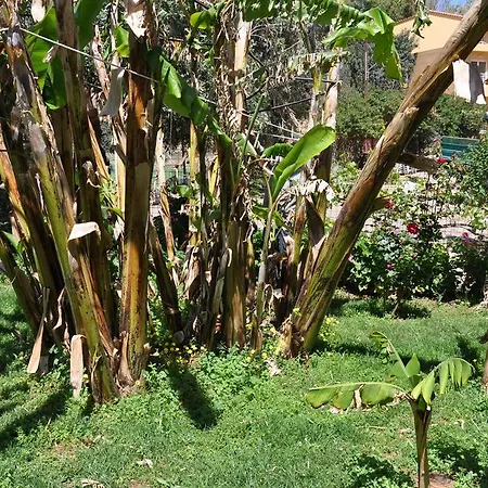 Bali Paradise 4* Bali (Crete)