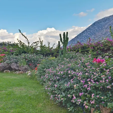 Bali Paradise Ξενοδοχείο